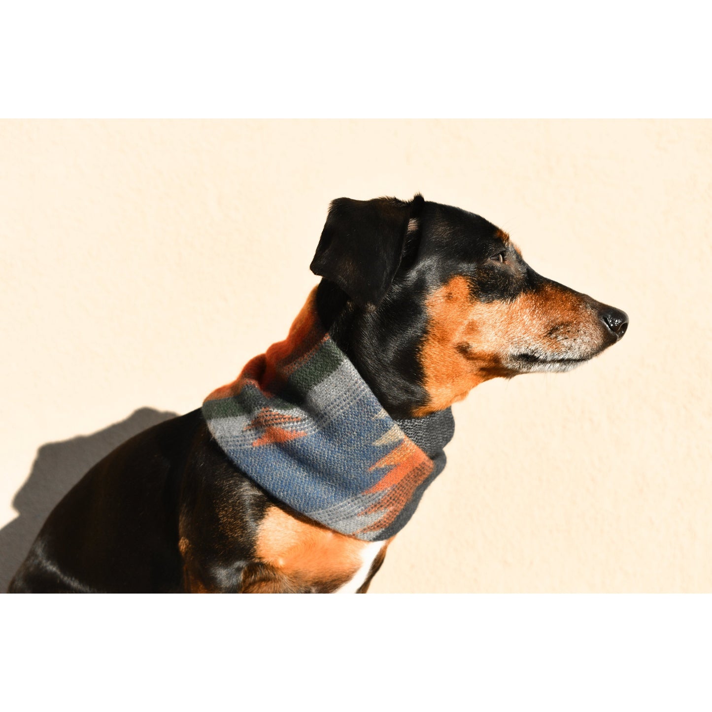 Sequoia Dog Scarf