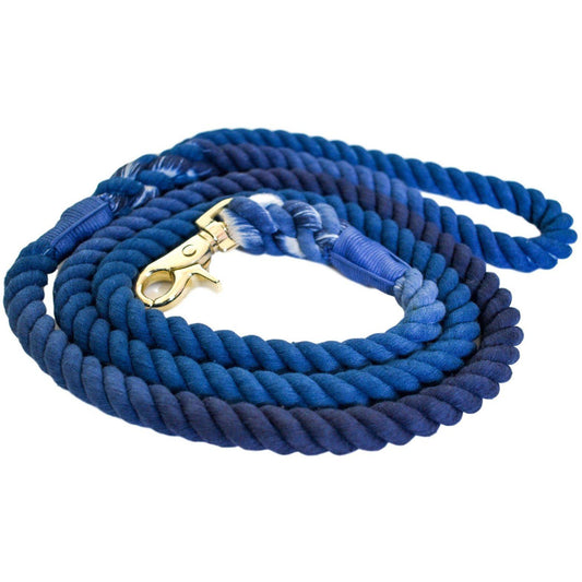 Blessed Blue - Dog Leash