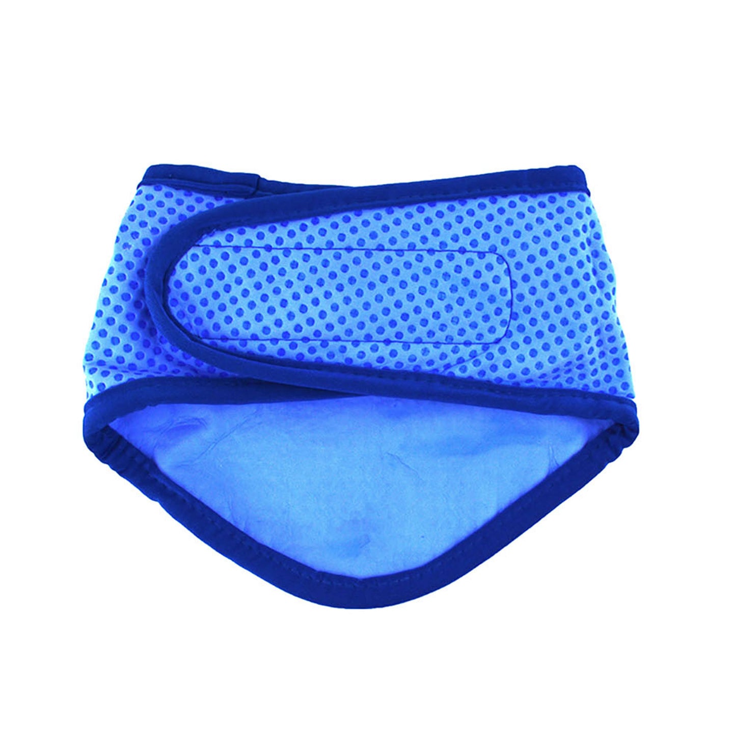 ICE BAND - Dog Cooling Bandana - Blue