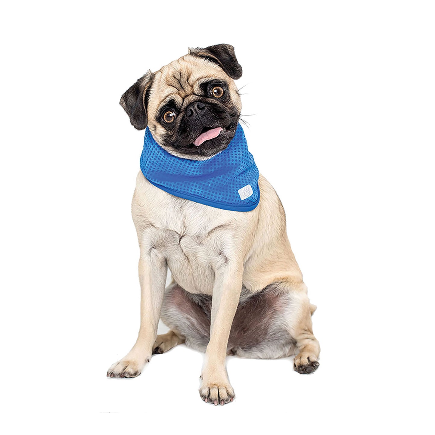 ICE BAND - Dog Cooling Bandana - Blue