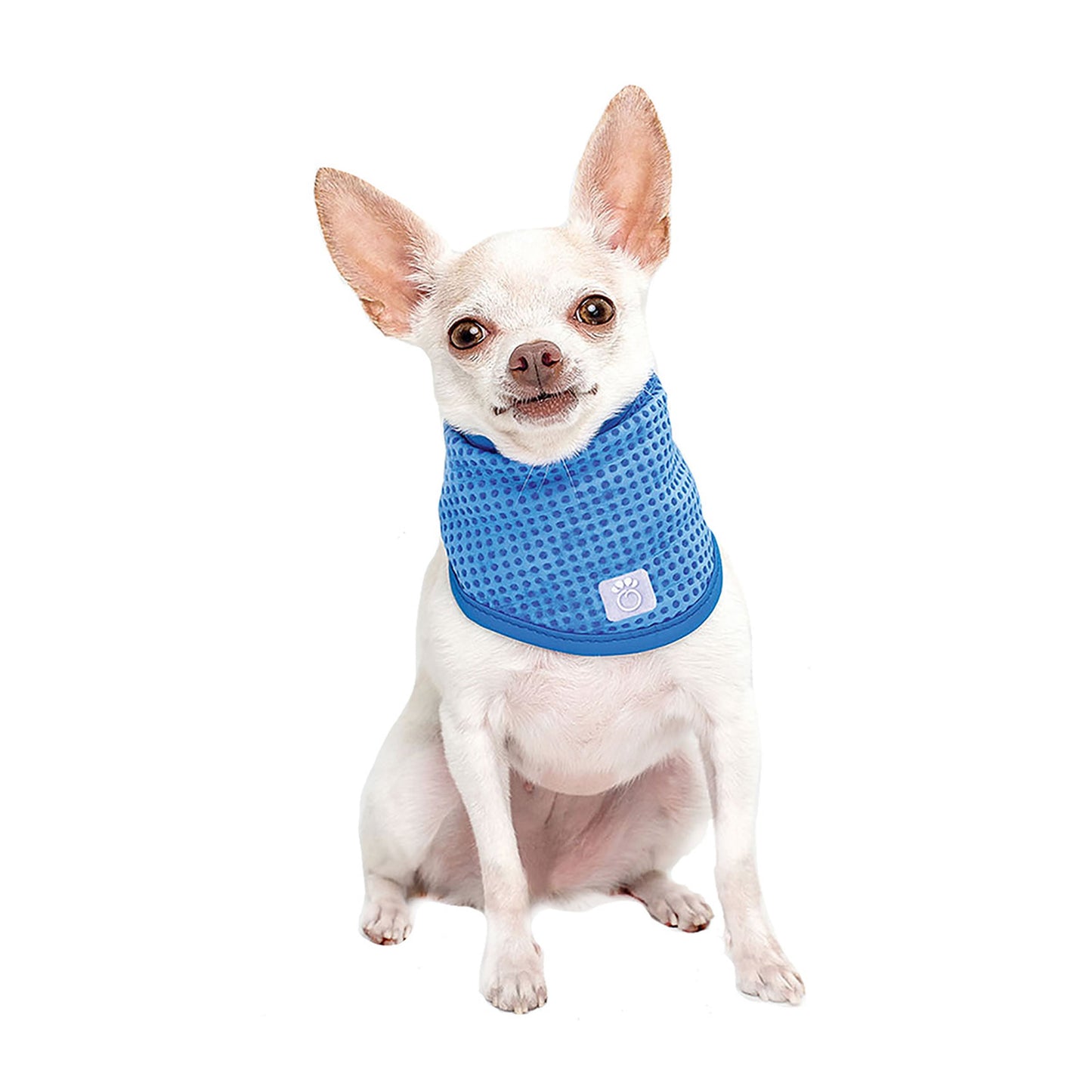 ICE BAND - Dog Cooling Bandana - Blue